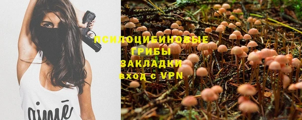 альфа пвп Надым