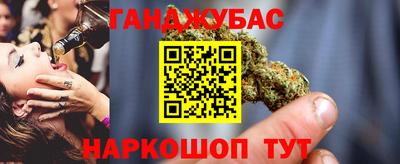 гидра Заводоуковск