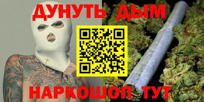 гидра Заводоуковск