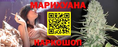 гидра Заводоуковск