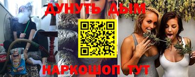 гидра Заводоуковск