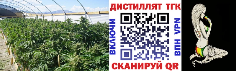 Дистиллят ТГК THC oil купить наркоту Рыбинск
